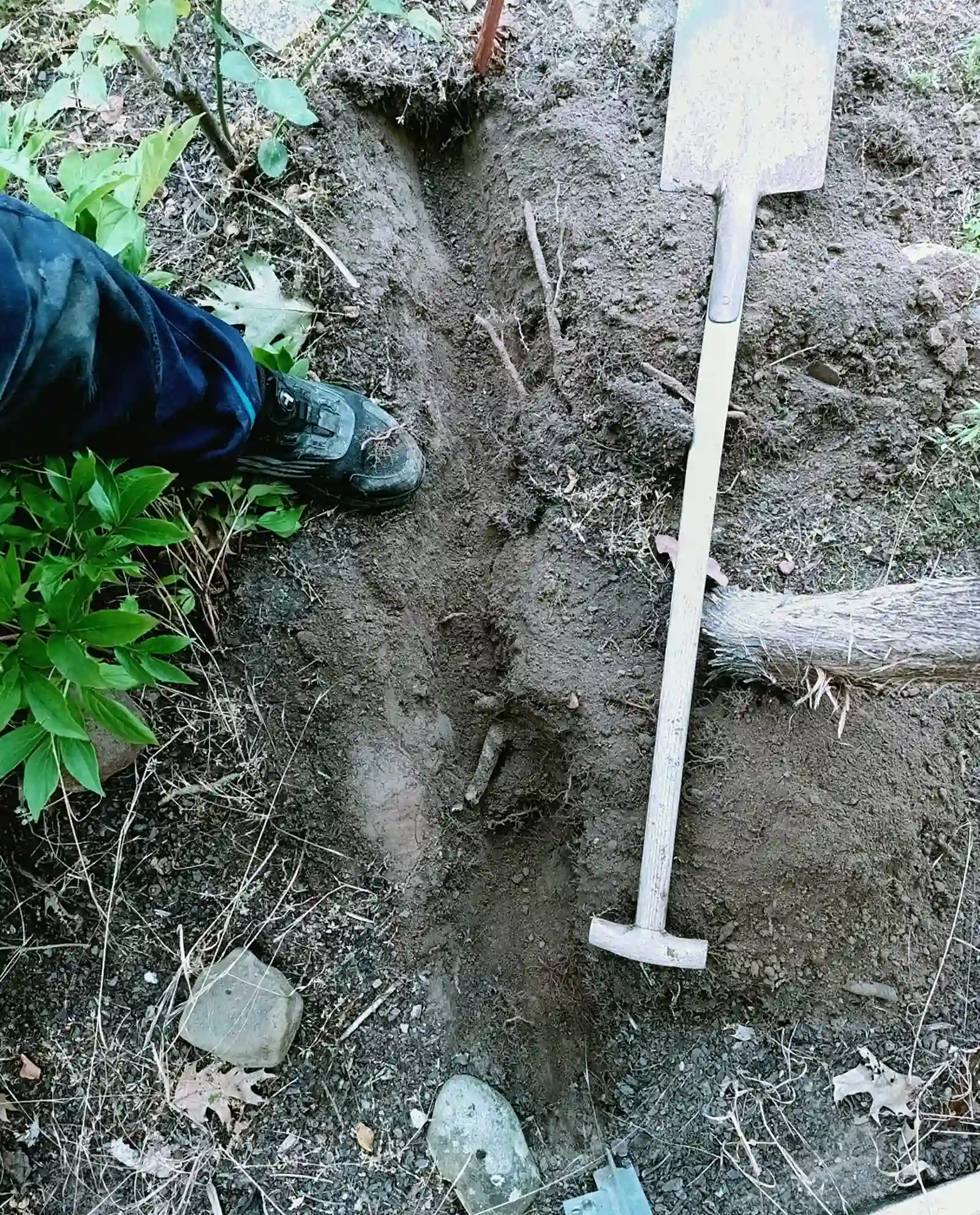 Tiefenerder gesetzt